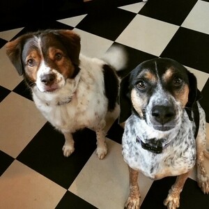 Fundraising Page: Emily Nergart